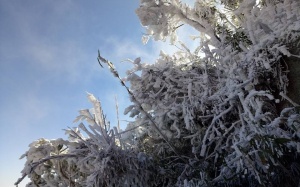 Đợt rét đậm rét hại ở miền Bắc kéo dài đến đầu năm 2019