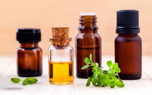 Những loại tinh dầu giúp cải thiện bệnh trĩ