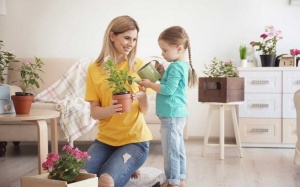 6 cây hoa nên trồng trong nhà để nhà sáng đẹp, thanh lọc không khí 