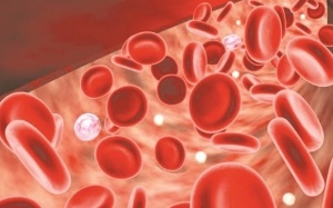 Làm thế nào để tăng mức độ huyết sắc tố trong máu?