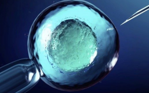 Thất bại khi làm IVF thụ tinh ống nghiệm: Nguyên nhân và giải pháp