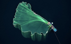 Ảnh ngư dân Việt Nam đoạt giải Nhì cuộc thi ảnh flycam quốc tế 2019