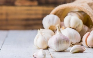 Tỏi giúp tăng khả năng sinh sản: Dùng như thế nào?