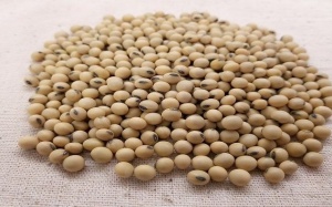 4 lợi ích làm đẹp của đậu nành