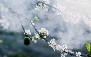 Bắc Bộ rét khô, Nam Bộ nắng nhiều