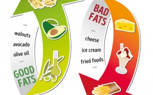 Chất béo chuyển hóa nguy hiểm thế nào?