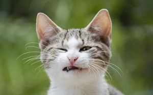 Tử vi thứ Tư (23/1/2019): Nhiều điều kỳ lạ sẽ xảy đến với Thiên Bình