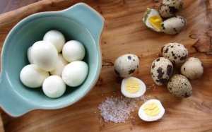 Ăn trứng cút có lợi cho sức khỏe thế nào?