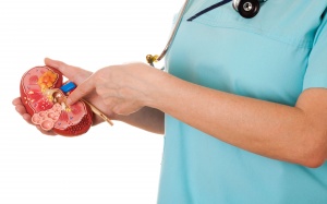 Ăn uống thế nào để giảm nguy cơ sỏi thận?