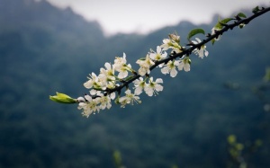 Bắc Bộ ấm áp trong ngày mai trước khi đón đợt không khí lạnh mới