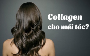 Tại sao bạn cần collagen để có mái tóc óng mượt, chắc khỏe? 
