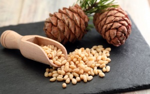 Vì sao bạn nên ăn hạt thông vào mùa Đông?