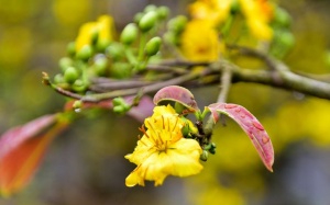 Ngày ông Công ông Táo, thời tiết cả nước thuận lợi