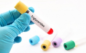 Chỉ số tryglyceride trên 6.0 có nguy hiểm không?