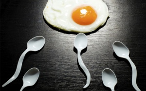 Nam giới nên ăn gì vào năm mới để 'tinh binh' khỏe mạnh?