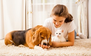 Tử vi thứ Sáu (8/2/2019): Ma Kết nên tin tưởng gia đình vô điều kiện