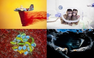 Chiêm ngưỡng những bức ảnh thiên nhiên và khoa học đẹp nhất năm 2018