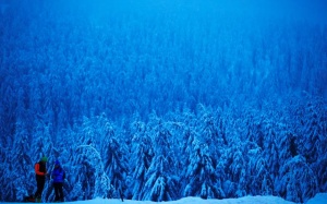 Những khung cảnh mùa Đông tuyết trắng đẹp như cổ tích