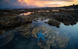 Ngắm ảnh thiên nhiên đẹp nhất đầu năm 2019 của National Geographic