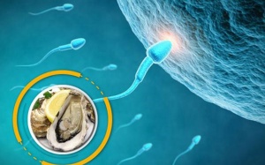 Vì sao đàn ông ăn nhiều hàu lại “khỏe” hơn?