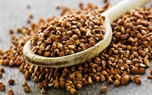 Lúa mạch đen có lợi cho sức khỏe thế nào?