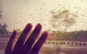 Sự cô đơn sẽ giết chết bạn như thế nào? 