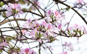 Nam Bộ nắng nóng, Bắc Bộ mát mẻ dịp cuối tuần