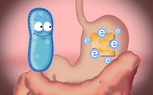 7 điều cần biết trước khi bổ sung probiotics