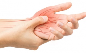 Thành phần của TPBVSK Hộ Tạng Đường là gì? Giá bao nhiêu?