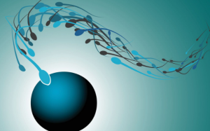 Vô sinh nam: Nguyên nhân, triệu chứng và cách điều trị 