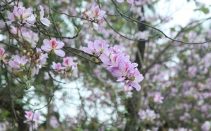 Bắc Bộ se lạnh, Nam Bộ tiếp tục nắng nóng