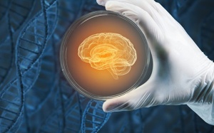 Bệnh Parkinson: Phương pháp tế bào gốc giúp phục hồi tổn thương não bộ