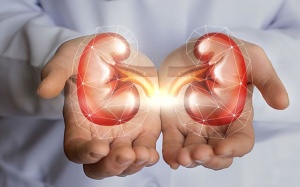 6 thực phẩm tốt cho thận mà bạn nên ăn thường xuyên