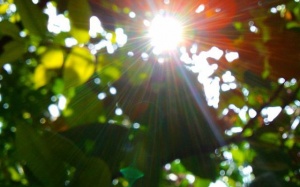 Bắc Bộ hửng nắng, nhiệt độ tăng nhẹ