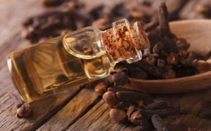 Tinh dầu đinh hương và những lợi ích ít người biết đến