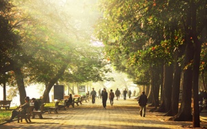 Bắc Bộ nắng ấm hết ngày mai