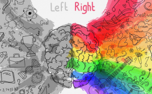 Những bài tập kích thích phát triển não phải cho trẻ em