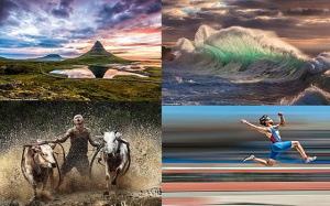 Ấn tượng ảnh dự thi CEWE Photo Award 2019