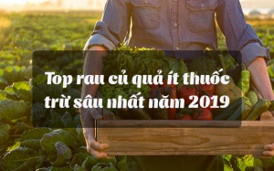 15 loại rau củ quả ít thuốc trừ sâu nhất năm 2019