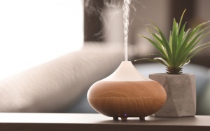 Những lời khuyên giúp dọn dẹp, thải độc cho ngôi nhà của bạn