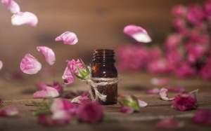 6 tinh dầu giúp giảm đau đầu, đau nửa đầu