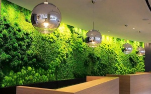 Tường cây xanh trong nhà: Lên đời không gian sống và sức khỏe