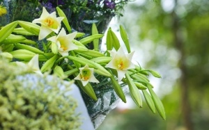 Bắc Bộ và Trung Bộ tạnh ráo hơn từ ngày mai