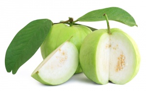 Lá ổi giúp điều trị ung thư, đái tháo đường