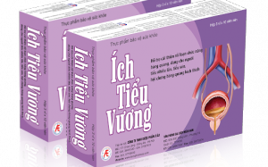 Thực phẩm bảo vệ sức khỏe Ích Tiểu Vương