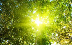 Bắc Bộ và Trung Bộ nắng nóng trên diện rộng