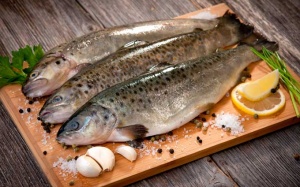 7 loại cá tốt nhất cho sức khỏe