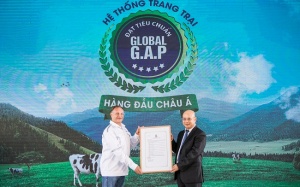 Việt Nam sở hữu hệ thống trang trại bò sữa chuẩn Global G.A.P lớn nhất châu Á
