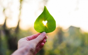 Tử vi tháng 5/2019: Tháng mới của Xử Nữ sẽ tràn ngập tình yêu