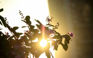 Nắng nóng còn kéo dài 4 - 5 ngày tới